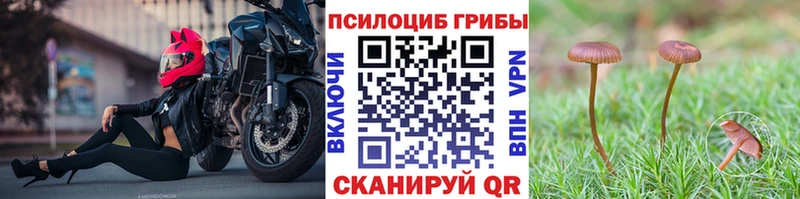 Псилоцибиновые грибы Cubensis Спас-Деменск