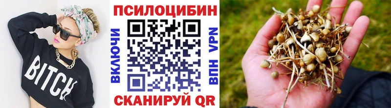 Псилоцибиновые грибы прущие грибы  Купить  Спас-Деменск 